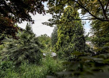 Giardino - Villa via Addis Abeba, 13, Trecate - foto 26