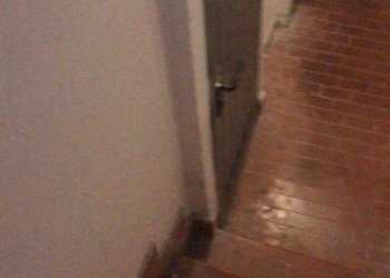 bagno - Shop via Andrea Costa, 118, Bologna (neighborhood Costa Saragozza) - photo 14