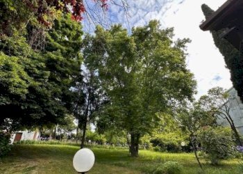 Villa Medesano - foto 6