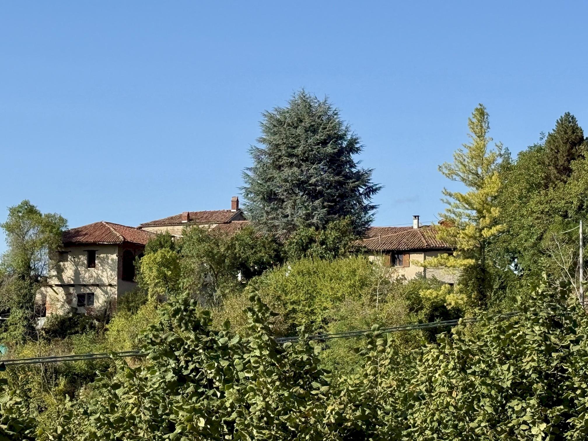 Casa indipendente Montelupo Albese - foto 1