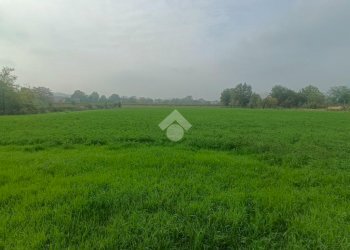Independent house Via Canale, Casalgrande - photo 4