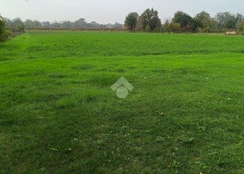 Independent house Via Canale, Casalgrande - photo 6
