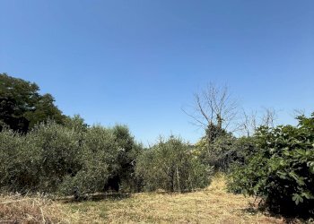 Foto 29 - Casa indipendente Altidona - foto 29