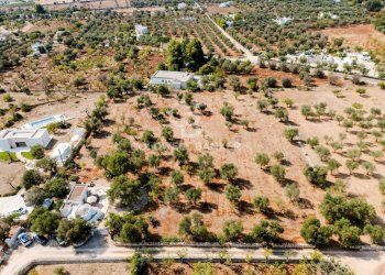 Foto 6 - Baita Contrada Santo Scalone
 
snc, Ostuni - foto 6