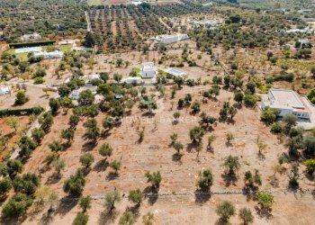 Foto 7 - Baita Contrada Santo Scalone
 
snc, Ostuni - foto 7