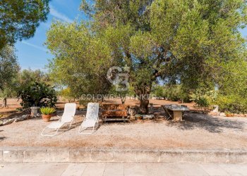 Foto 22 - Baita Contrada Santo Scalone
 
snc, Ostuni - foto 22