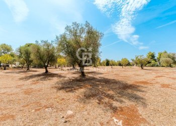 Foto 26 - Baita Contrada Santo Scalone
 
snc, Ostuni - foto 26