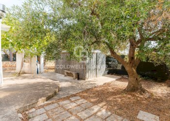 Foto 28 - Baita Contrada Santo Scalone
 
snc, Ostuni - foto 28