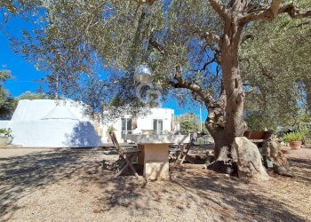 Foto 36 - Baita Contrada Santo Scalone
 
snc, Ostuni - foto 36