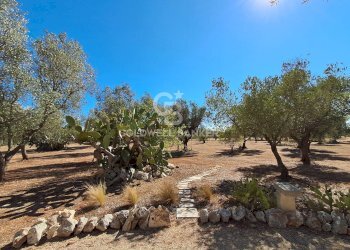 Foto 37 - Baita Contrada Santo Scalone
 
snc, Ostuni - foto 37