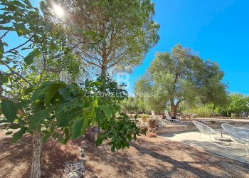 Foto 40 - Baita Contrada Santo Scalone
 
snc, Ostuni - foto 40