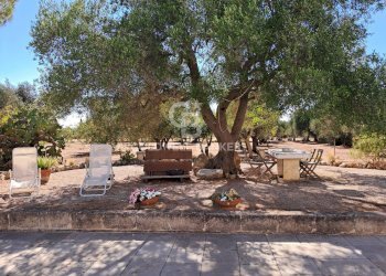 Foto 41 - Baita Contrada Santo Scalone
 
snc, Ostuni - foto 41