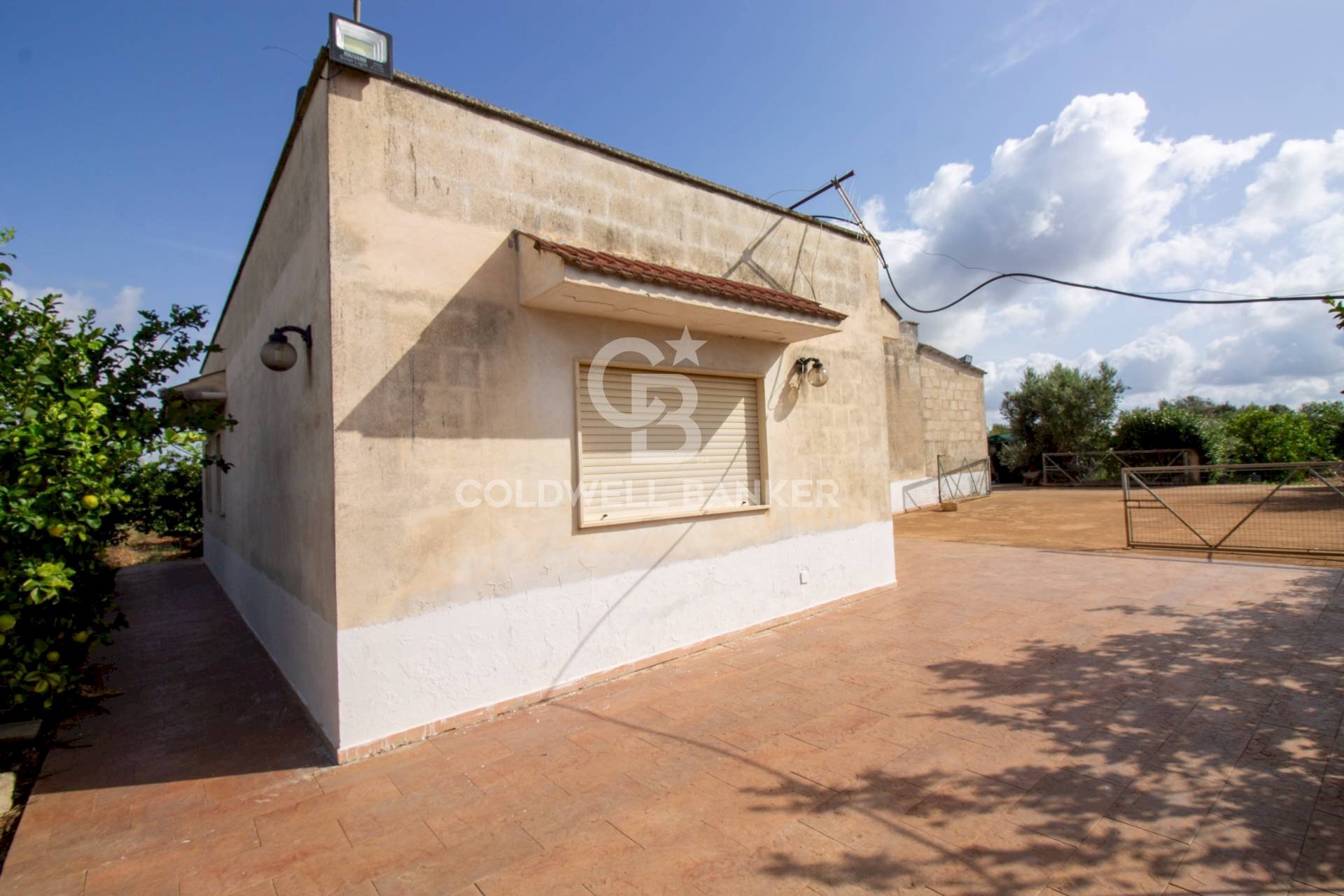 Foto 3 - Villa CONTARADA SAN GIACOMO, San Vito dei Normanni - foto 3