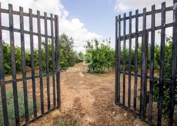 Foto 52 - Villa CONTARADA SAN GIACOMO, San Vito dei Normanni - foto 52