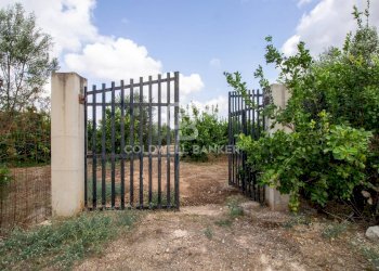 Foto 53 - Villa CONTARADA SAN GIACOMO, San Vito dei Normanni - foto 53