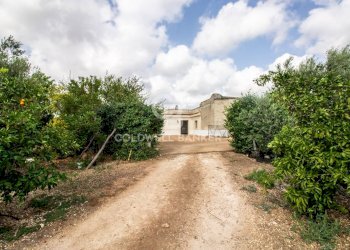 Foto 54 - Villa CONTARADA SAN GIACOMO, San Vito dei Normanni - foto 54