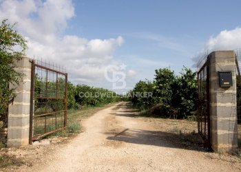 Foto 55 - Villa CONTARADA SAN GIACOMO, San Vito dei Normanni - foto 55