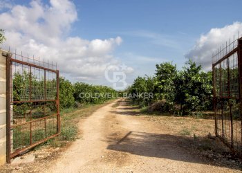 Foto 56 - Villa CONTARADA SAN GIACOMO, San Vito dei Normanni - foto 56