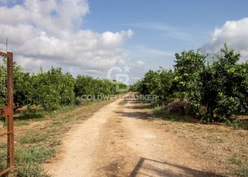 Foto 57 - Villa CONTARADA SAN GIACOMO, San Vito dei Normanni - foto 57