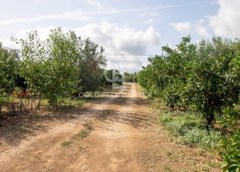 Foto 58 - Villa CONTARADA SAN GIACOMO, San Vito dei Normanni - foto 58