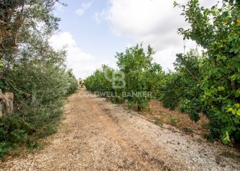 Foto 59 - Villa CONTARADA SAN GIACOMO, San Vito dei Normanni - foto 59