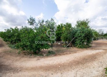 Foto 60 - Villa CONTARADA SAN GIACOMO, San Vito dei Normanni - foto 60