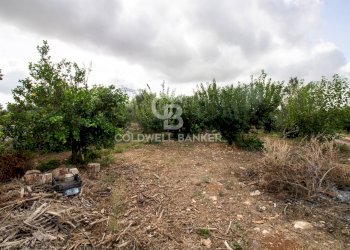 Foto 61 - Villa CONTARADA SAN GIACOMO, San Vito dei Normanni - foto 61