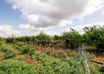 Foto 62 - Villa CONTARADA SAN GIACOMO, San Vito dei Normanni - foto 62