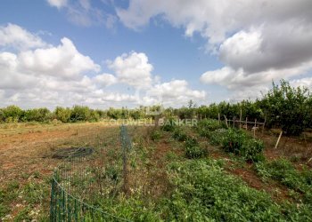 Foto 63 - Villa CONTARADA SAN GIACOMO, San Vito dei Normanni - foto 63