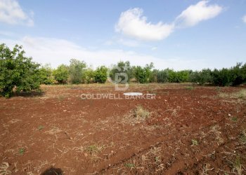 Foto 45 - Villa San Vito dei Normanni - foto 45