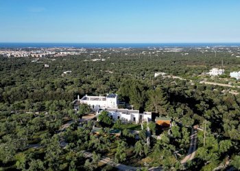 Foto 5 - Rustico Contrada Giardinelli
 
Snc, Fasano - foto 5