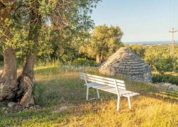 Foto 8 - Rustico Contrada Giardinelli
 
Snc, Fasano - foto 8