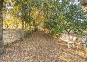 Foto 9 - Rustico Contrada Giardinelli
 
Snc, Fasano - foto 9