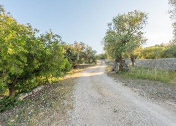 Foto 35 - Rustico Contrada Giardinelli
 
Snc, Fasano - foto 35