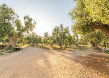 Foto 36 - Rustico Contrada Giardinelli
 
Snc, Fasano - foto 36