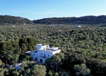 Foto 39 - Rustico Contrada Giardinelli
 
Snc, Fasano - foto 39