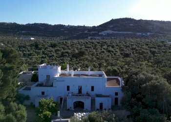 Foto 42 - Rustico Contrada Giardinelli
 
Snc, Fasano - foto 42