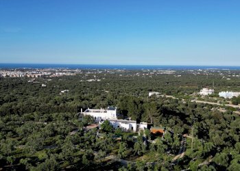 Foto 43 - Rustico Contrada Giardinelli
 
Snc, Fasano - foto 43