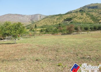 Foto 28 - Terreno agricolo Via Pietra Grossa, Fondi - foto 1