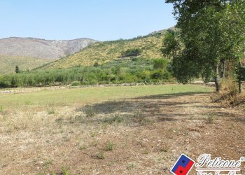 Foto 29 - Terreno agricolo Via Pietra Grossa, Fondi - foto 2