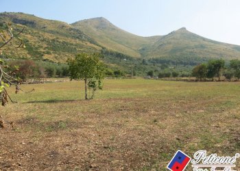 Foto 30 - Terreno agricolo Via Pietra Grossa, Fondi - foto 3