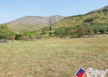 Foto 31 - Terreno agricolo Via Pietra Grossa, Fondi - foto 4