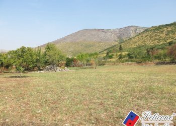 Foto 32 - Terreno agricolo Via Pietra Grossa, Fondi - foto 5