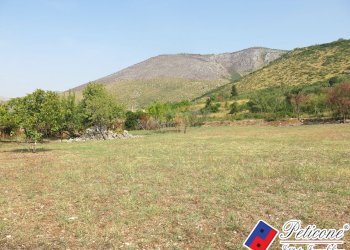 Foto 33 - Terreno agricolo Via Pietra Grossa, Fondi - foto 6