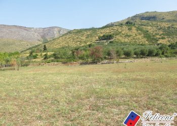 Foto 34 - Terreno agricolo Via Pietra Grossa, Fondi - foto 7