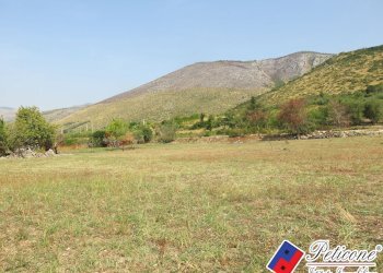 Foto 35 - Terreno agricolo Via Pietra Grossa, Fondi - foto 8