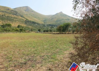 Foto 36 - Terreno agricolo Via Pietra Grossa, Fondi - foto 9