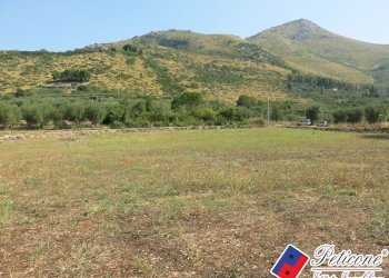 Foto 38 - Terreno agricolo Via Pietra Grossa, Fondi - foto 11