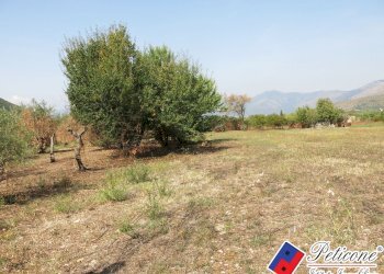 Foto 39 - Terreno agricolo Via Pietra Grossa, Fondi - foto 12