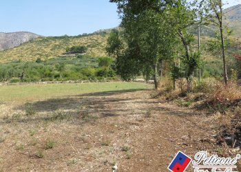 Foto 40 - Terreno agricolo Via Pietra Grossa, Fondi - foto 13